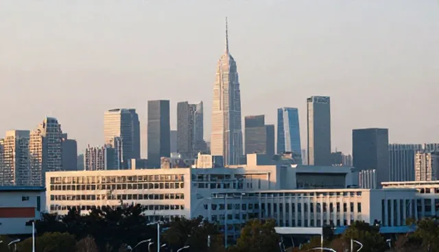 域名选择与维护的适用条件及使用建议