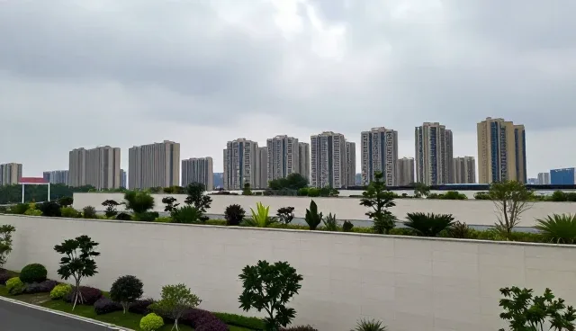 网站使用建议：适用情况与限制分析